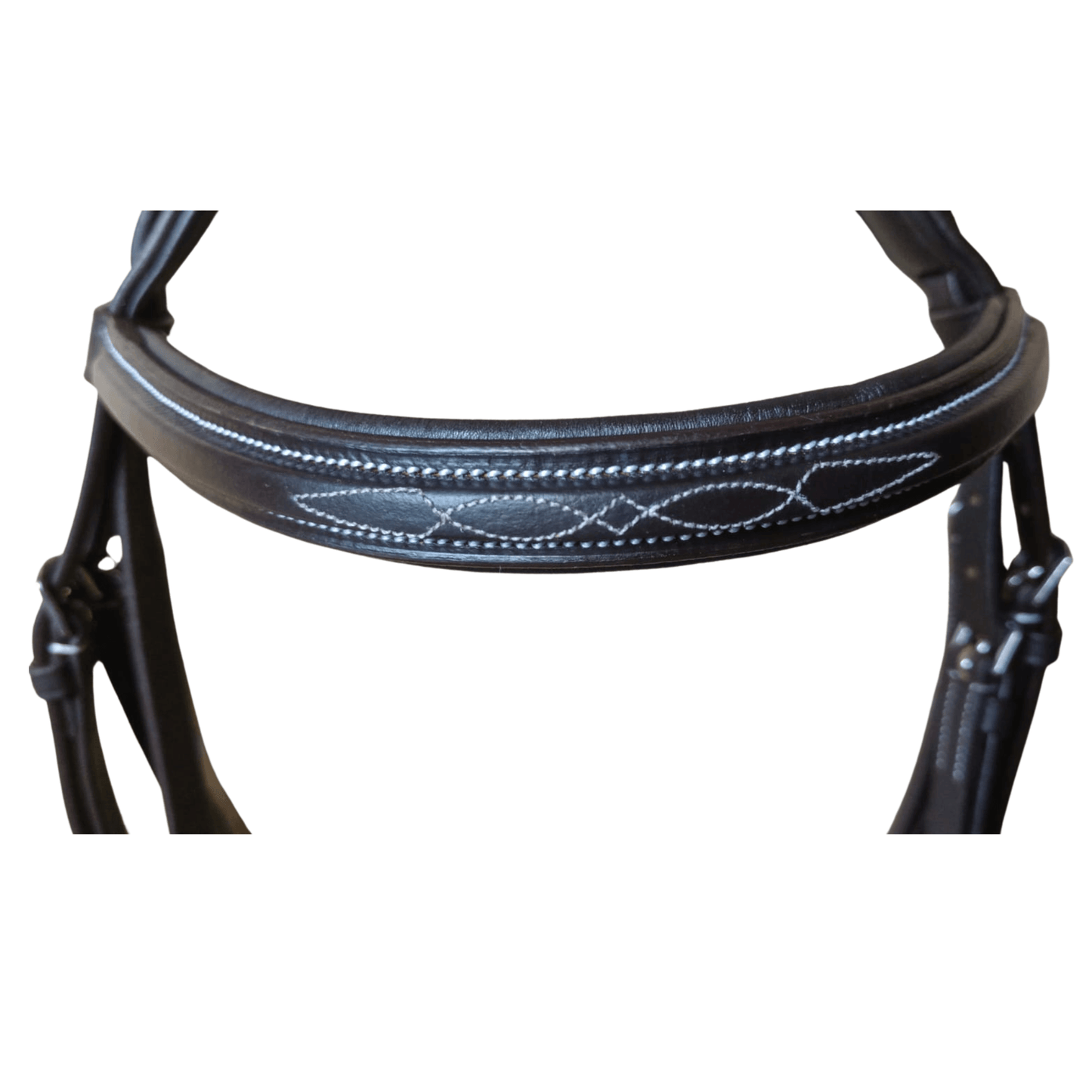 Havana bridle for horse