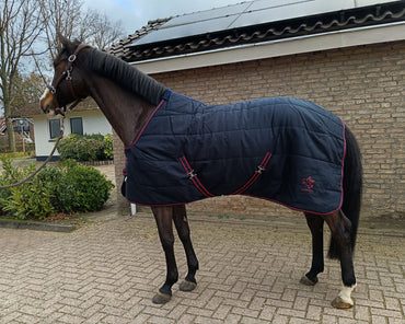 Horse wearing a blue quilted blanket standing on a paved area with a building in the background.