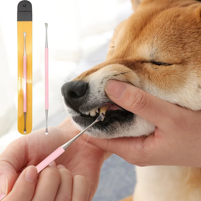 Dog Tooth Cleaner Stainless Steel Tartar Scraper Double Ended Dental Tool