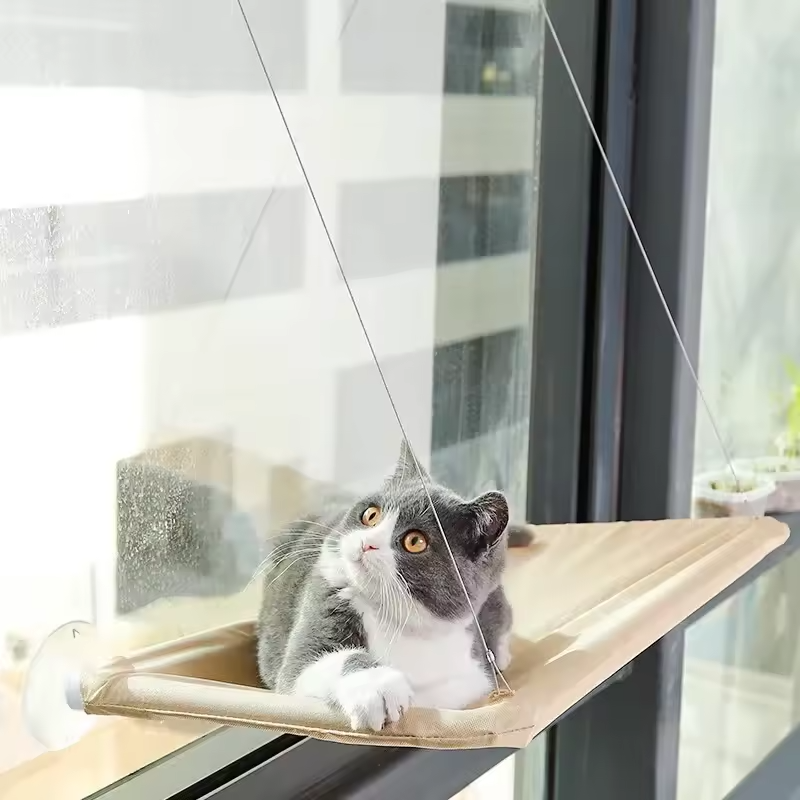 Cat Window Hammock Bed Suction Cup Washable Detachable Pet Seat