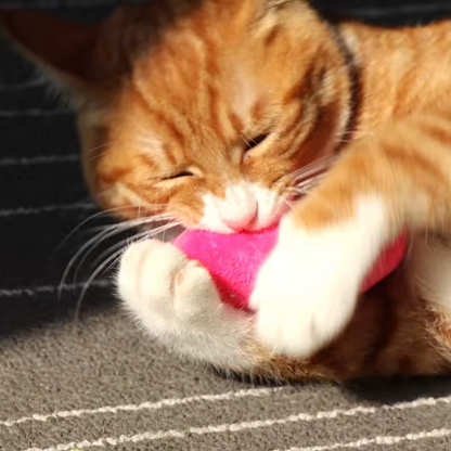 Catnip Cat Toy Plush Chew Teeth Cleaning Interactive Kitten Bite Toy