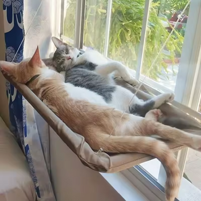 Cat Window Hammock Bed Suction Cup Washable Detachable Pet Seat
