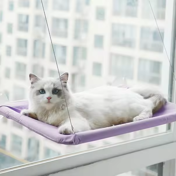 Cat Window Hammock Bed Suction Cup Washable Detachable Pet Seat