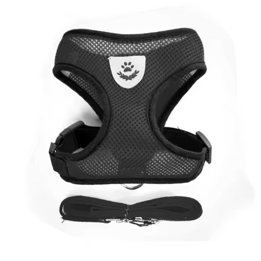 Dog and Cat Harness with Lead Adjustable Mesh Reflective Vest Small Pet
