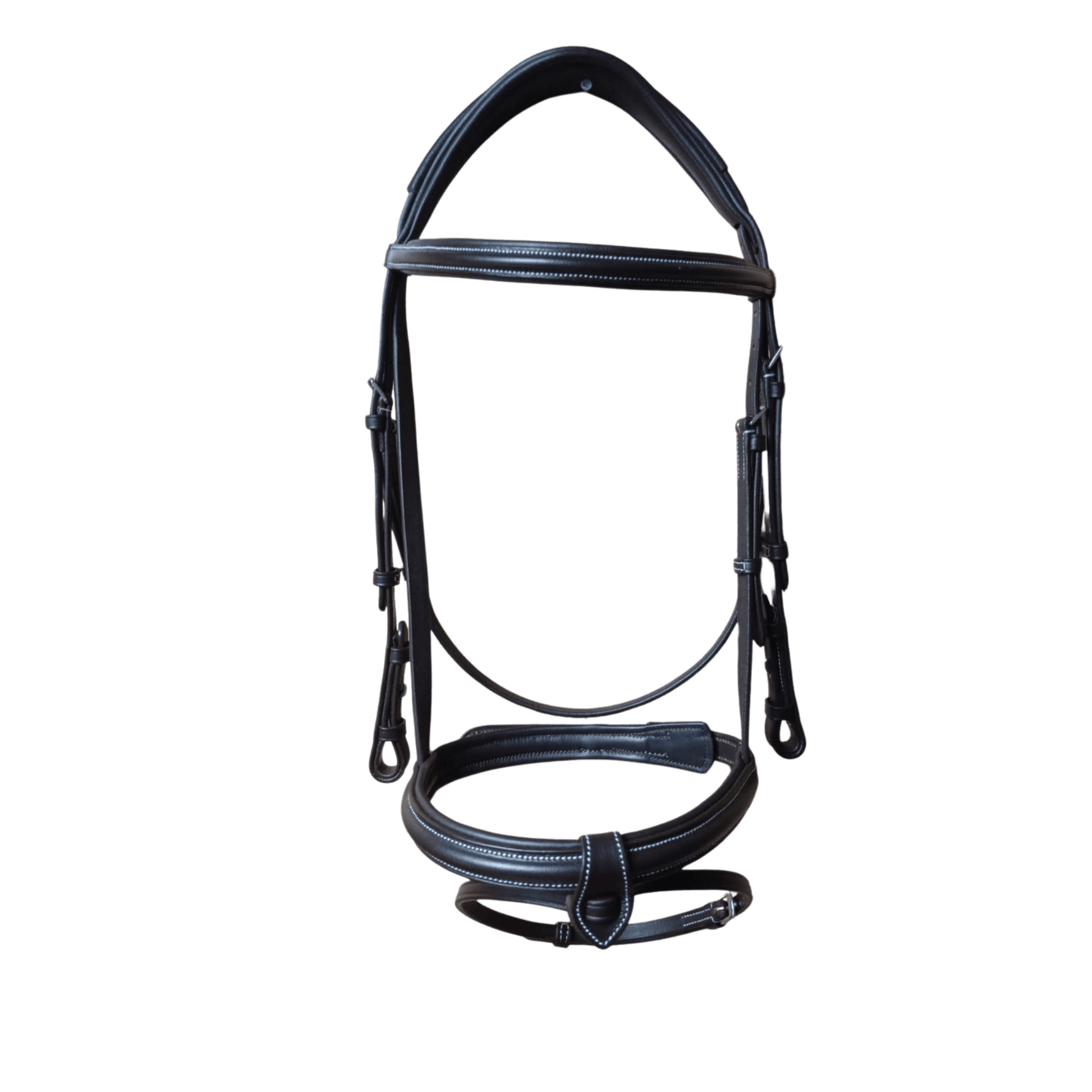 Black horse bridle on a white background