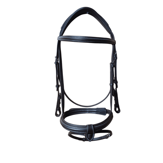 Black horse bridle on a white background