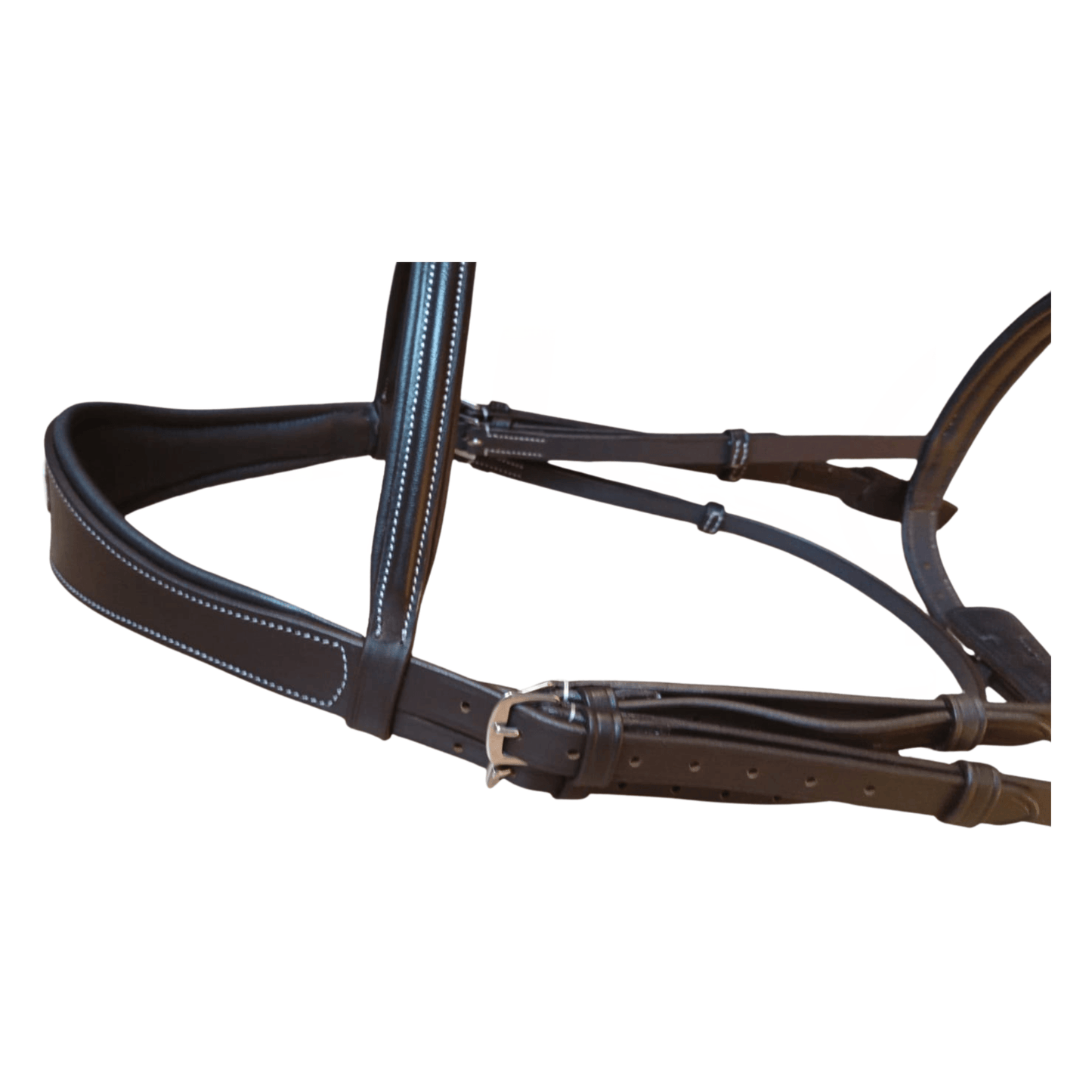 Brown leather bridle on a white background