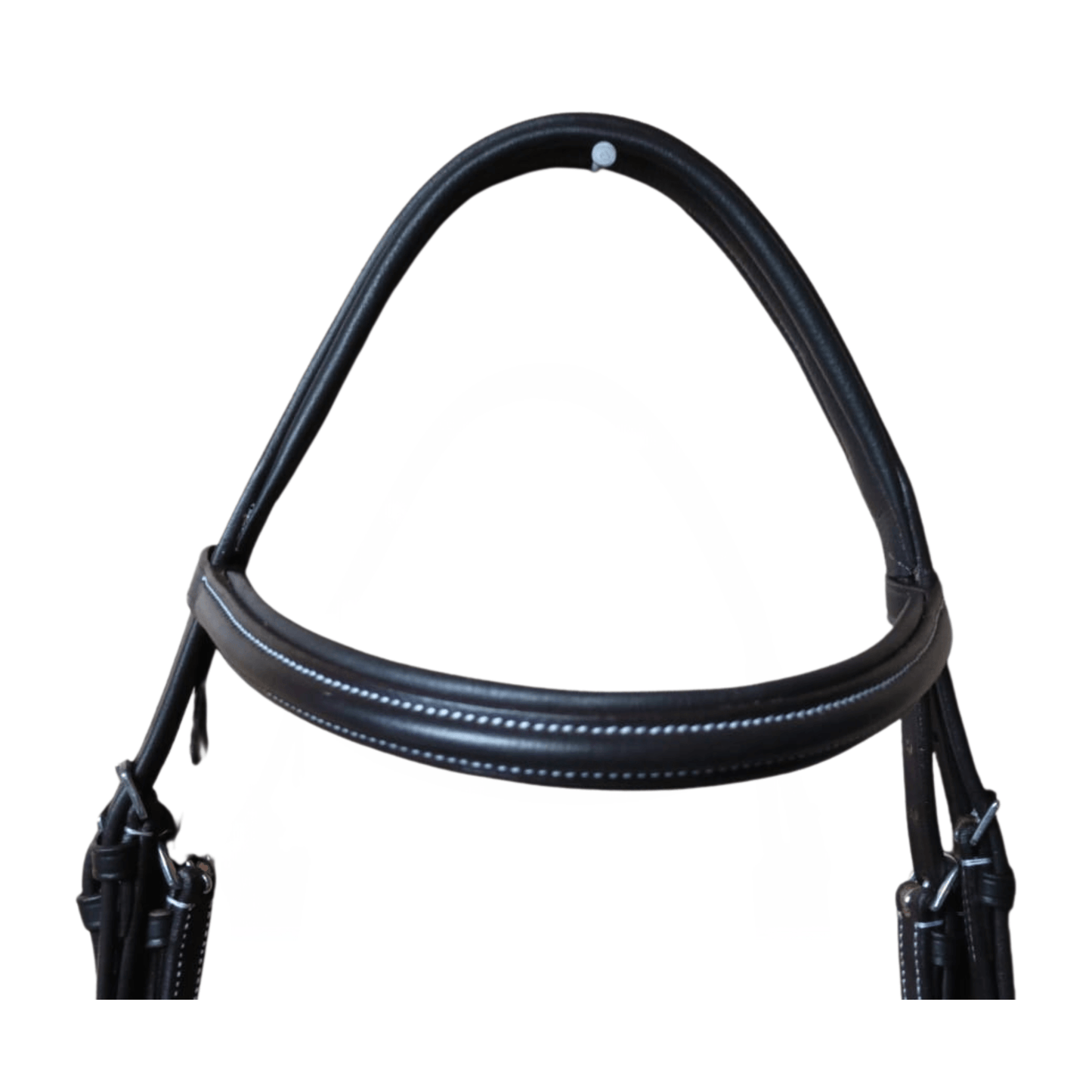 Havana yousha elia bridle