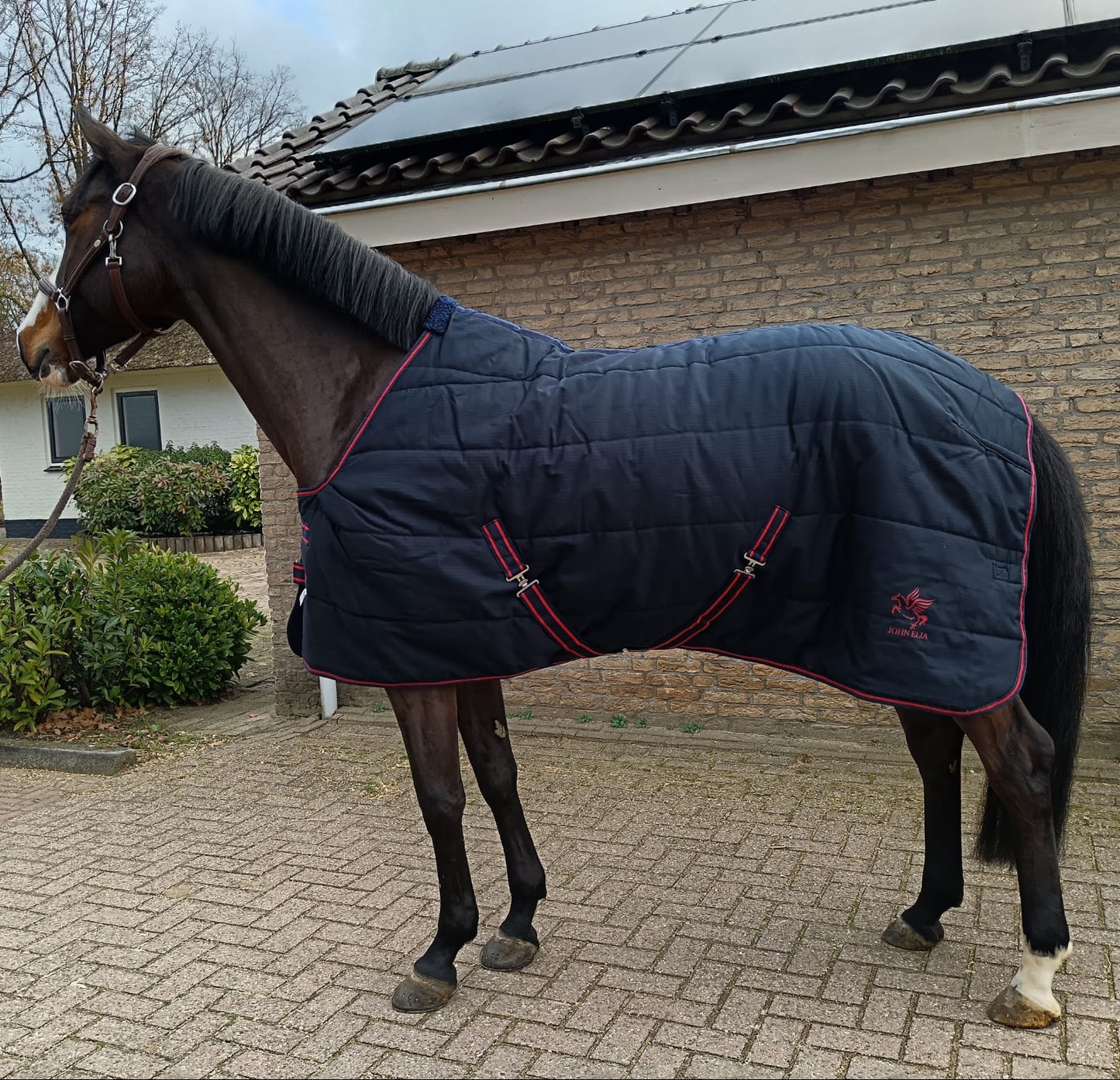 Horse Show Coolers & Stable Rug for Horses - Youshaelia