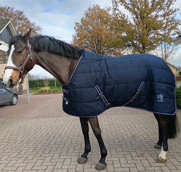 Stable Horse Blanket | Stable Sheets for Horses - Youshaelia