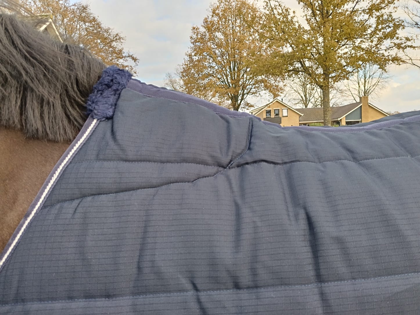 Stable Horse Blanket | Stable Sheets for Horses - Youshaelia