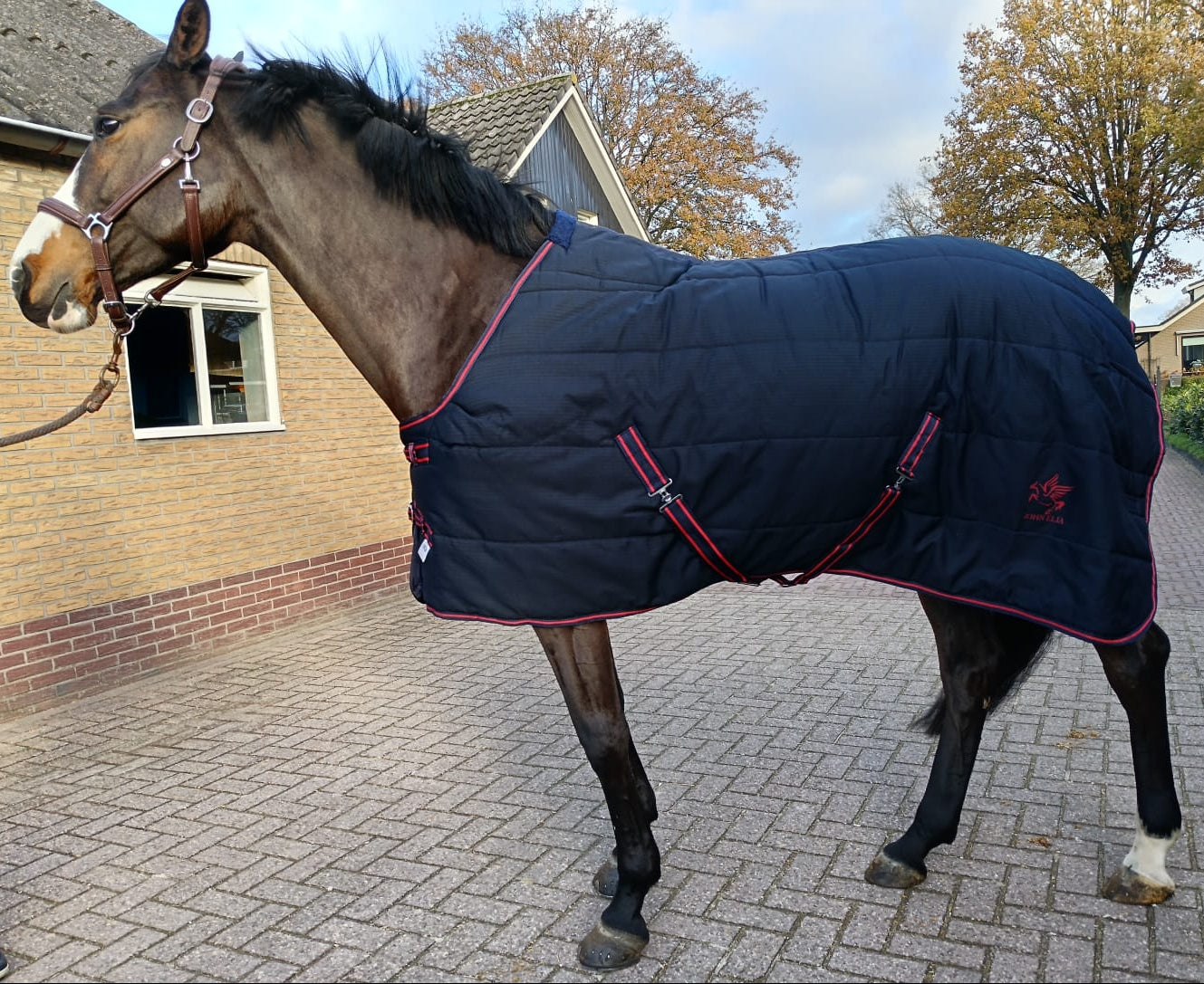 Horse Show Coolers & Stable Rug for Horses - Youshaelia