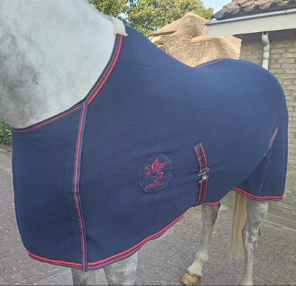 Navy blue horse blanket with red trim on a horse, outdoors.