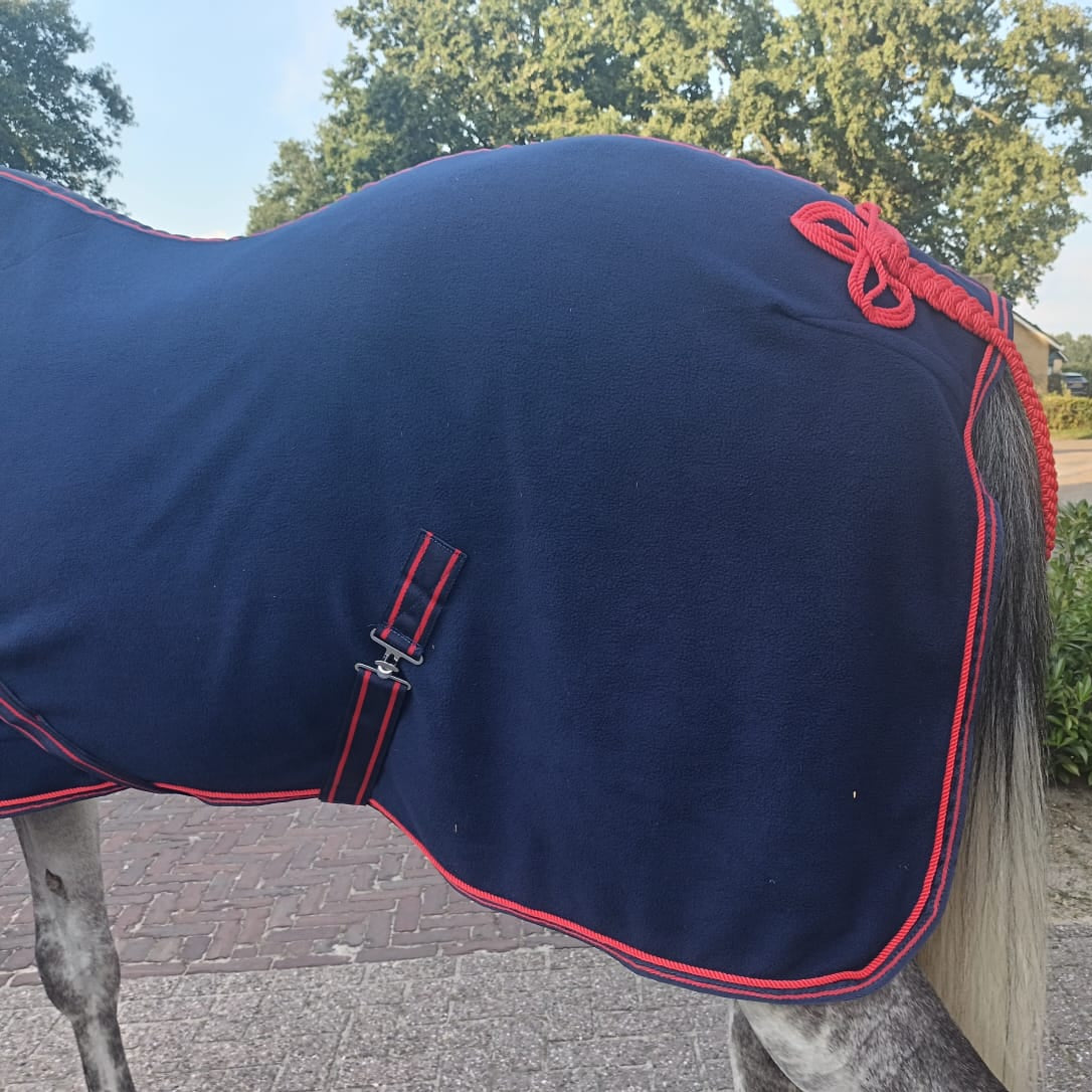 Navy blue horse blanket with red trim on a horse, outdoors.