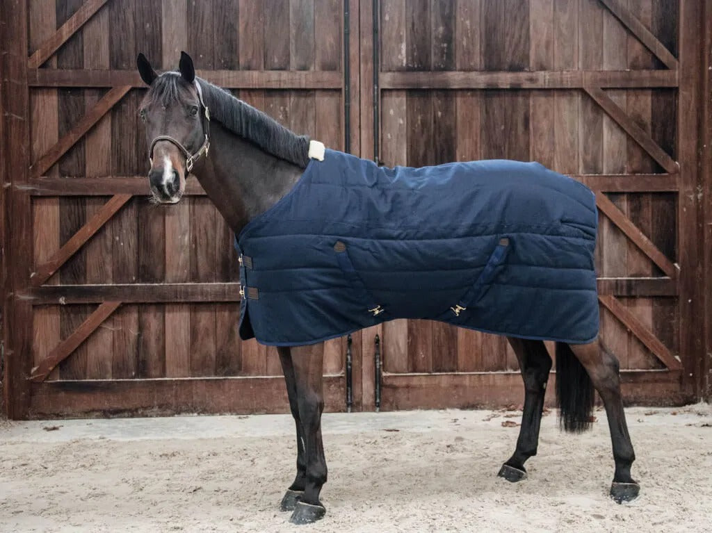 Horse wearing a blue blanket standing in front of wooden doors.