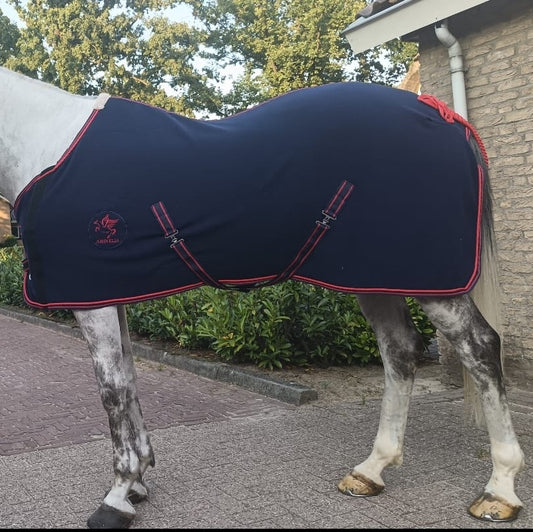 White horse wearing a dark blue rug with red trim on a paved area.