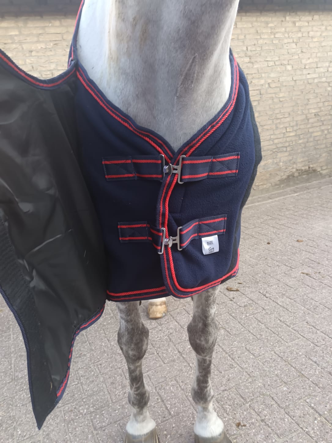 Fleece Horse Rug with Chest Flap – Anti-Pilling & Secure Fit - Youshaelia
