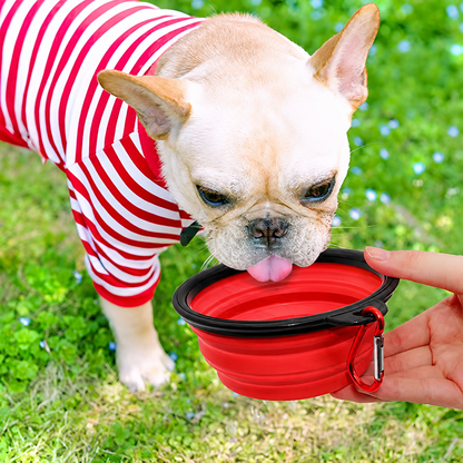Collapsible Pet Bowl Silicone Dog Cat Travel Food Water Bowl Portable Outdoor