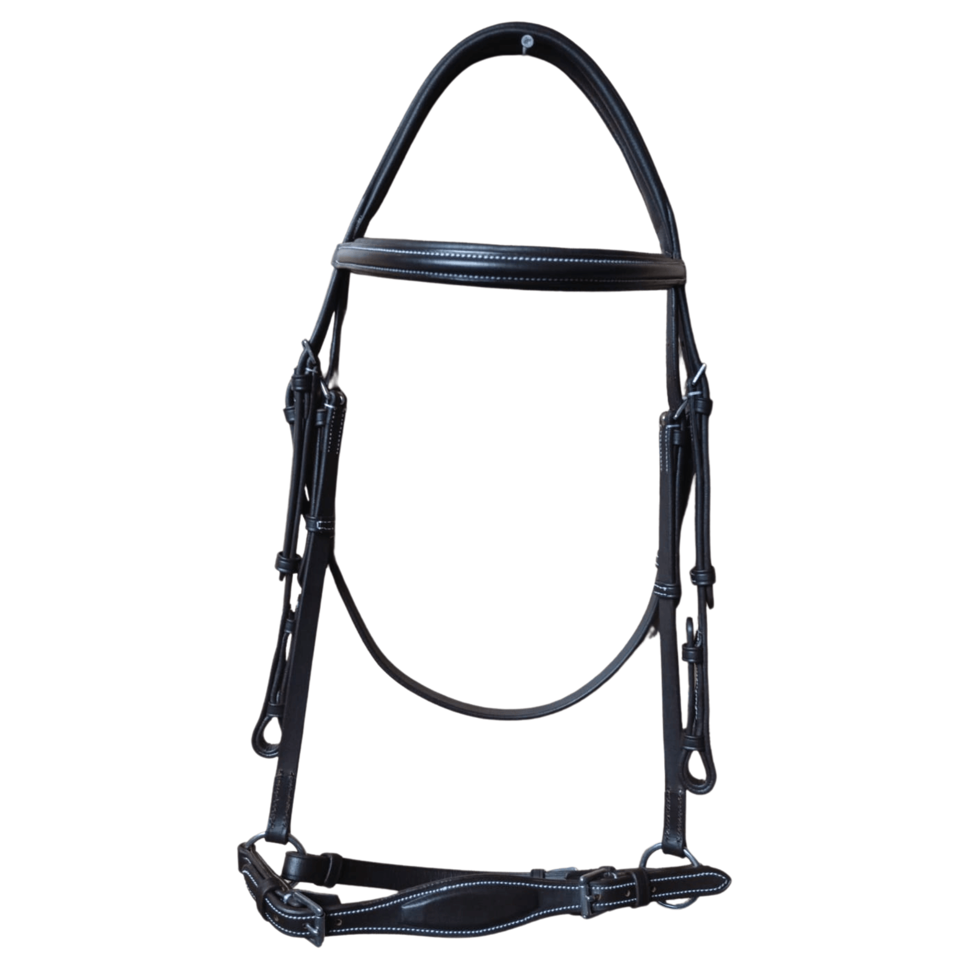 Black horse bridle on a white background
