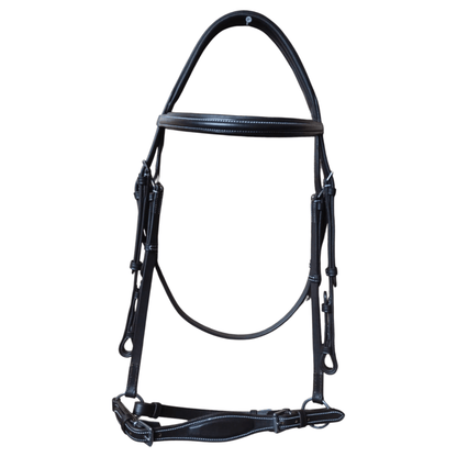 Black horse bridle on a white background