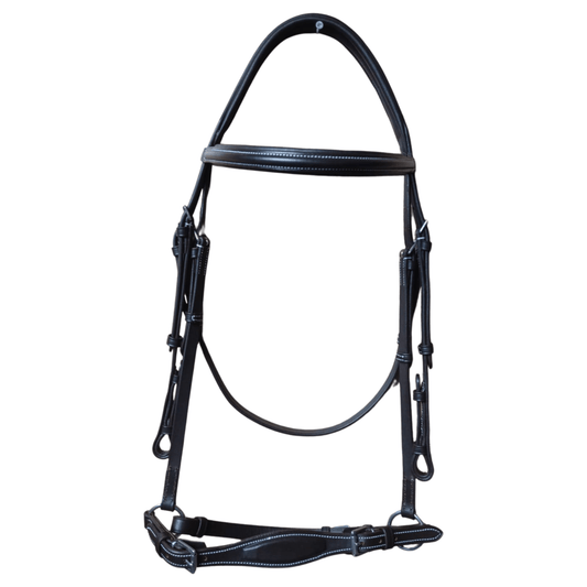 Black horse bridle on a white background