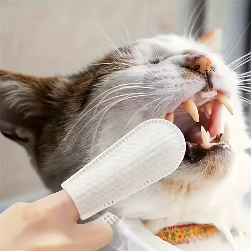 Pet Ear Cleaning Wipes Dog Cat Ear Care Finger Wipes Ear Mite Remover
