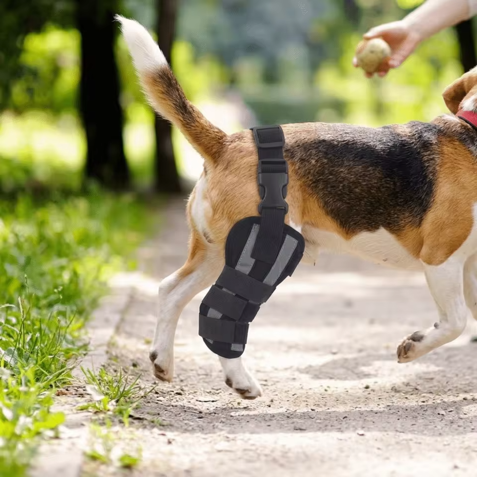 Dog Hind Leg Brace Knee Support Adjustable Joint Stabiliser Compression
