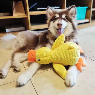Dog Plush Duck Toy Interactive Squeaky Comfort Toy Puppy Chew Teddy