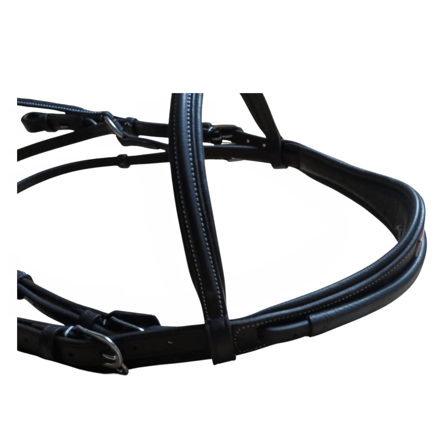 Black leather bridle on a white background